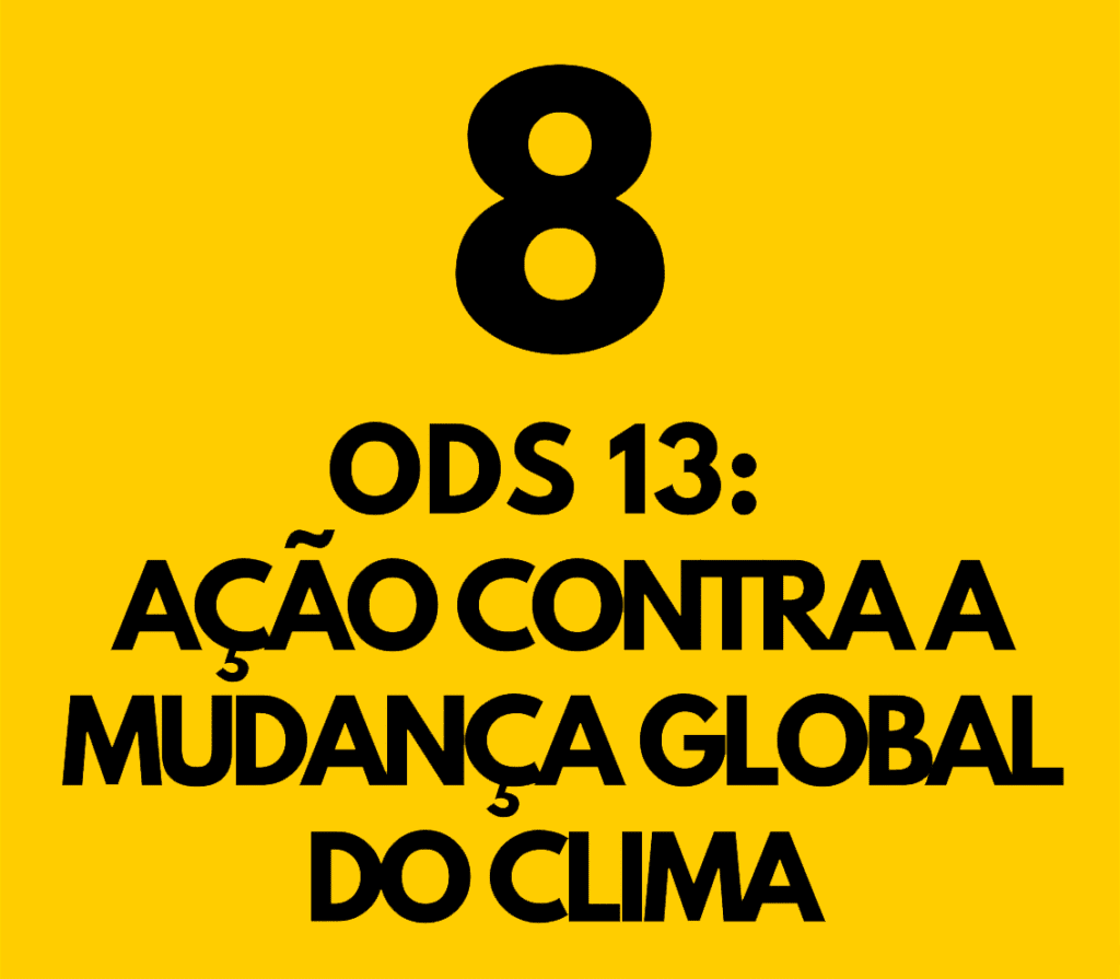 ODS 13: Ação contra a mudança global do clima